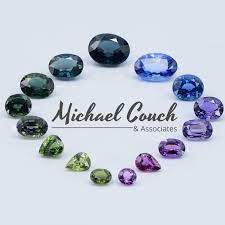 Michael Couch & Associates